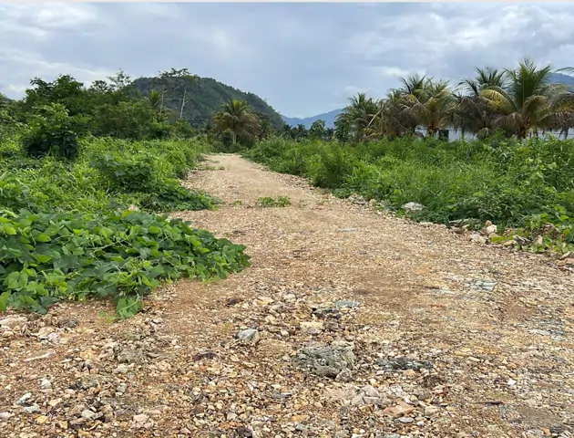 Conecta con la naturaleza